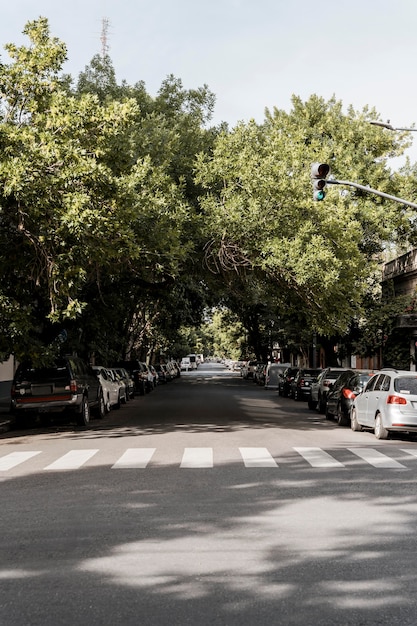 View of city street with trees and card