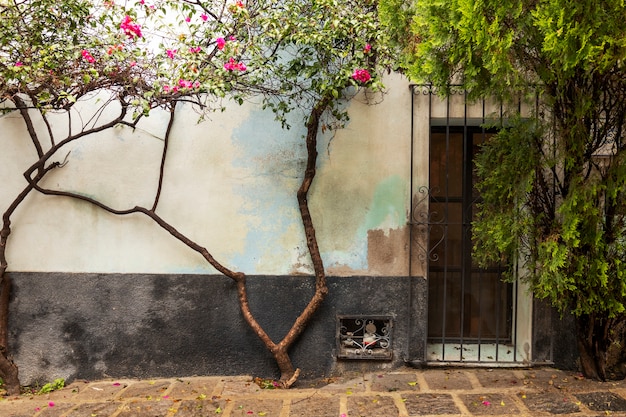 View of colorful mexican urban architecture