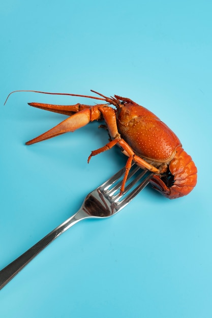 Free photo view of cooked and ready to be eaten crawfish