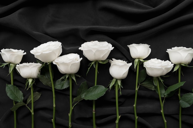 Free photo view of delicate white rose flowers