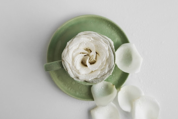 Free photo view of delicate white rose and petals