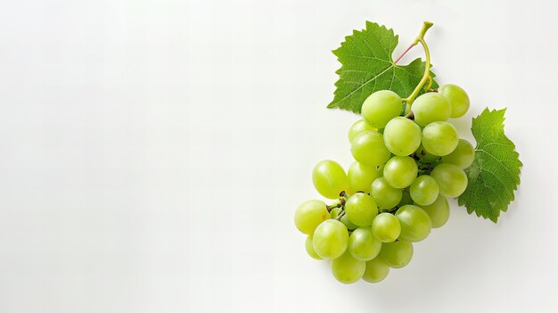 View of delicious green grapes