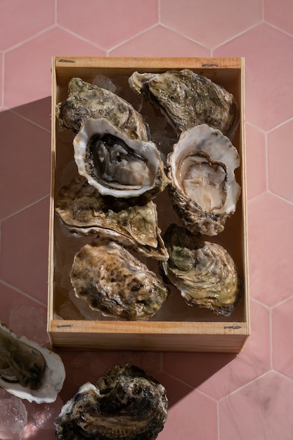 Free photo view of delicious oyster delicacies