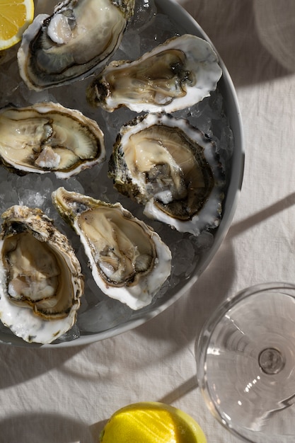 Free photo view of dish made of oyster delicacies