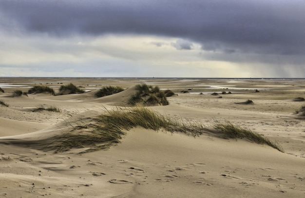 Free Photo view of the dunes of amrum island, germany under a cloudy sky