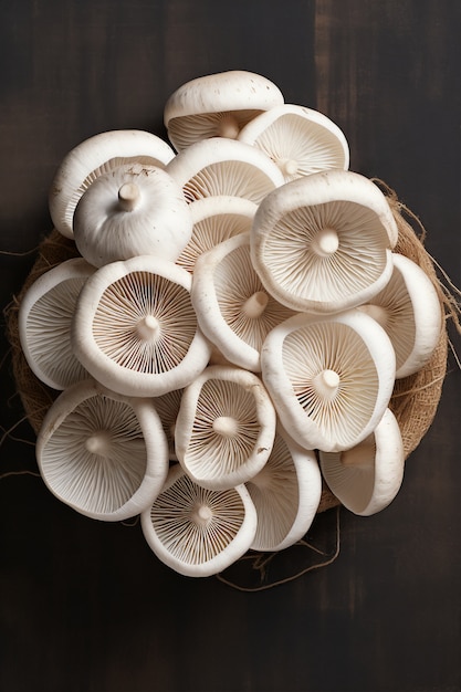 Free Photo view of edible mushrooms