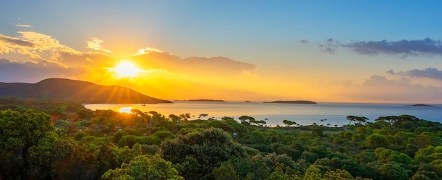 Free Photo view of famous palombaggia beach at sunrise