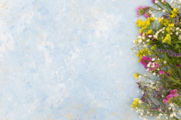 Above view floral frame with stucco background