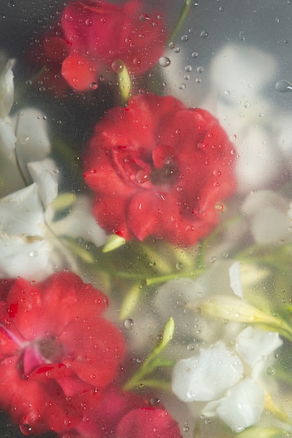 Free photo view of flowers behind condensed glass