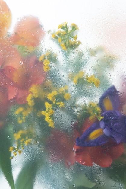 Free photo view of flowers through condensed glass with water drops