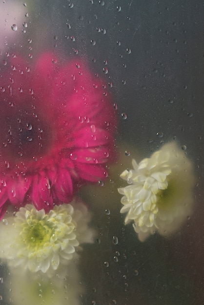 View of flowers through condensed glass