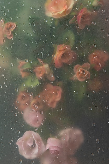 Free Photo view of flowers through condensed glass