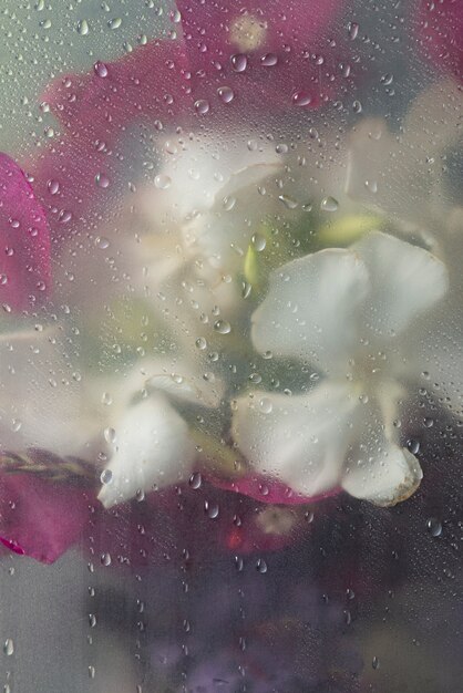 View of flowers through condensed glass