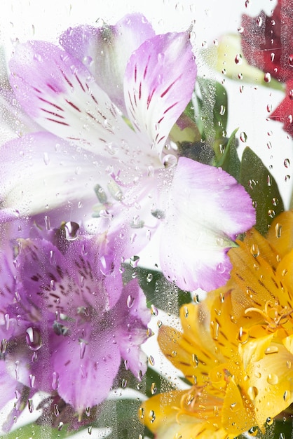 Free Photo view of flowers behind transparent glass with water drops