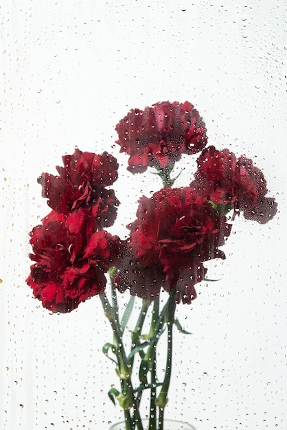 View of flowers behind transparent glass with water drops