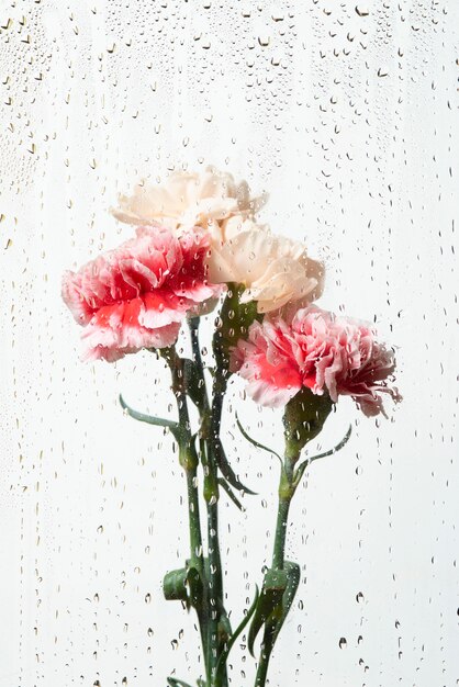 View of flowers behind transparent glass with water drops