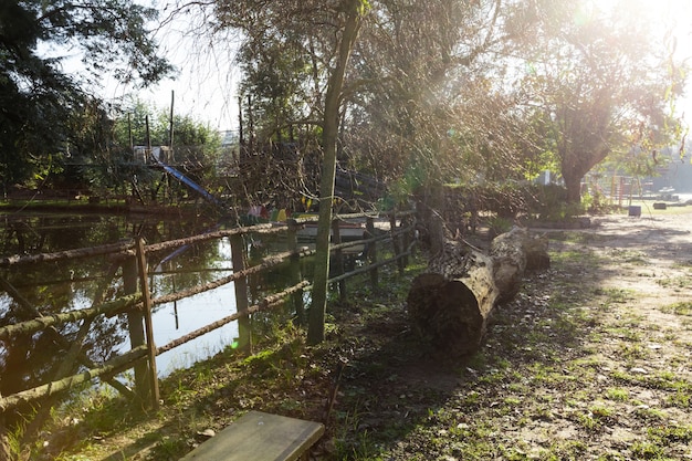 Free Photo view of the forest and pond at sunset