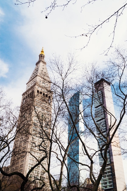 Free Photo view from behind dry trees to tall buildings