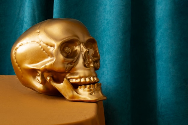 Free photo view of golden skull