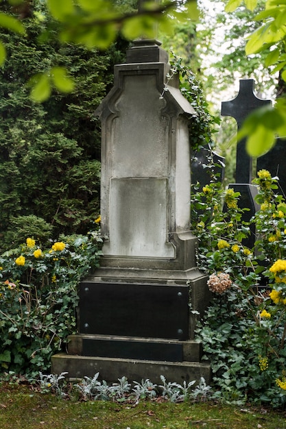 Free Photo view of graves in the cemetery