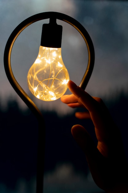 View of hands holding lightbulb lamp