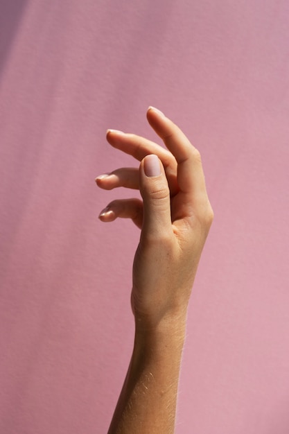 Free photo view of human hand against clear background