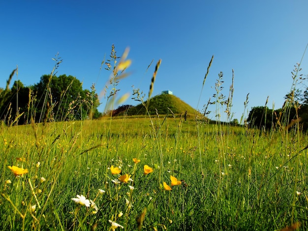 View to the land pyramid