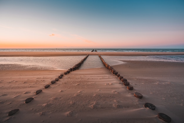 Free Photo view of logs of wood covered under the sand on the beach captured in oostkapelle, netherlands