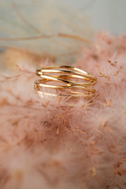 Free Photo view of luxurious golden ring with dry plant