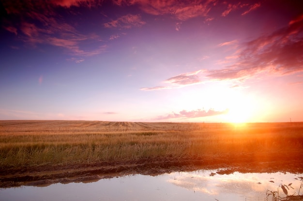 Free photo view of meadow at sunset