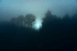 Free photo view of a misty forest at night