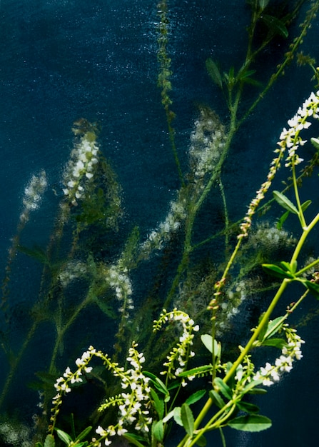 View of natural blurry flowers