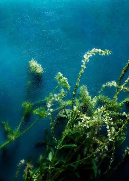 View of natural blurry flowers