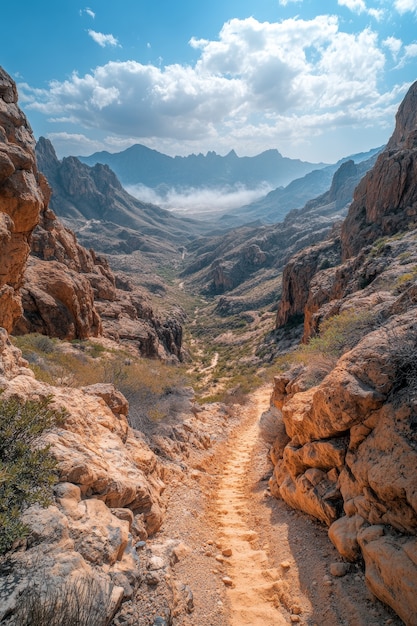 View of nature landscape with dry ground and parched soil