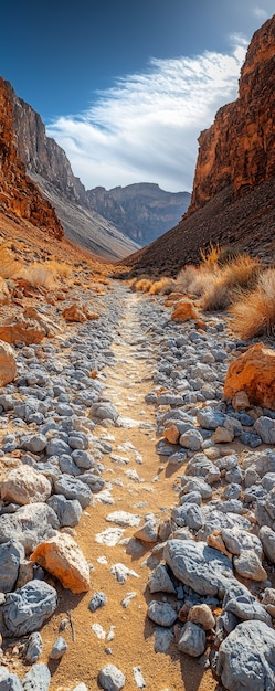 View of nature landscape with dry ground and parched soil