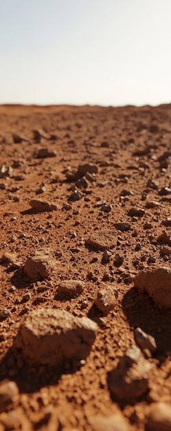 View of nature landscape with dry ground and parched soil