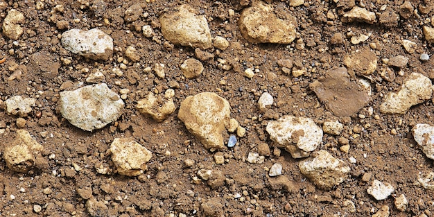 Free Photo view of nature landscape with dry ground and parched soil