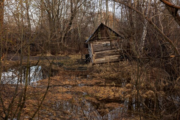 View of old and abandoned house in nature