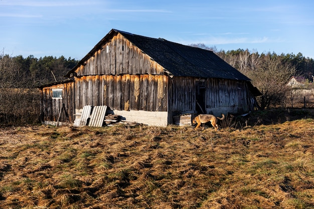 Free Photo view of old and abandoned house in nature