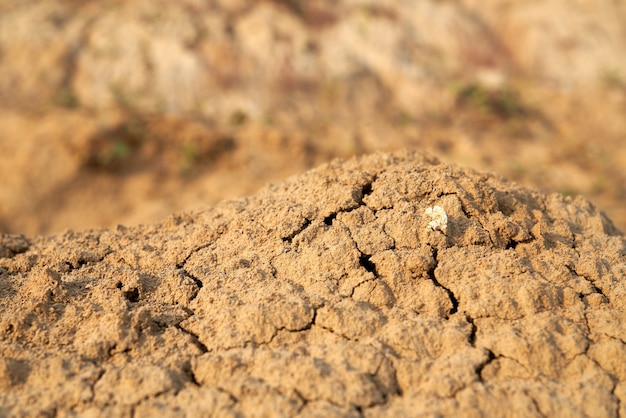 Free Photo above view of piles of brown crumbly sand in desert.