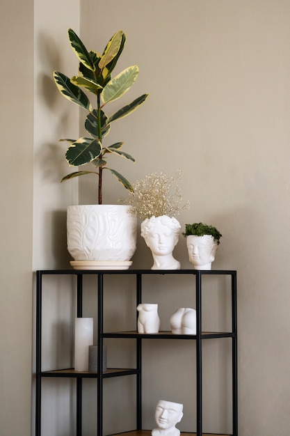 Free photo view of potted plant in room on metal shelf