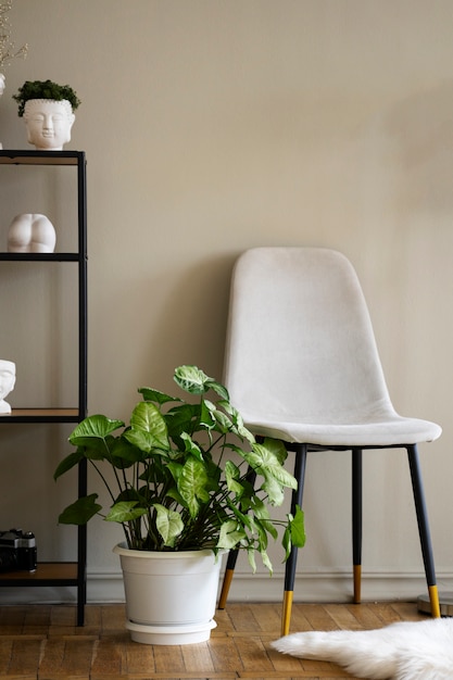 Free photo view of potted plant in room with chair and shelf