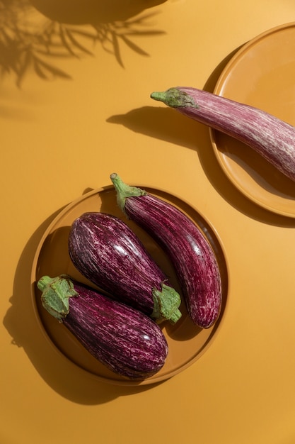 Free photo above view raw eggplants still life