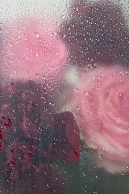 Free Photo view of rose flowers behind condensed glass