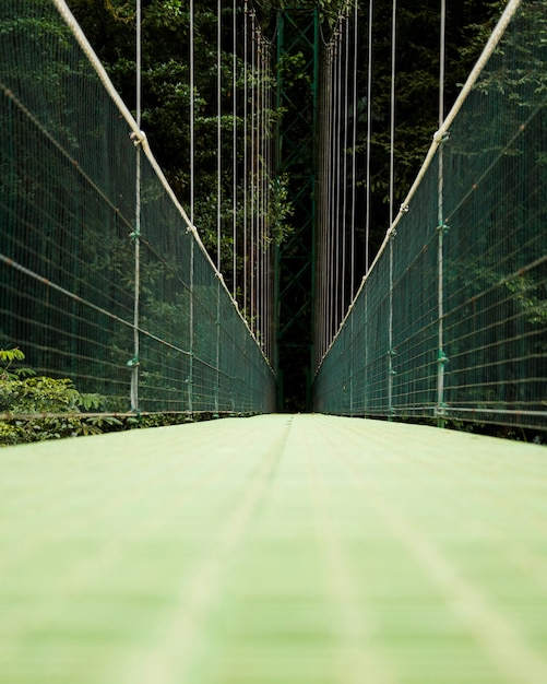 Free photo view of suspension bridge over the costa rica rainforest