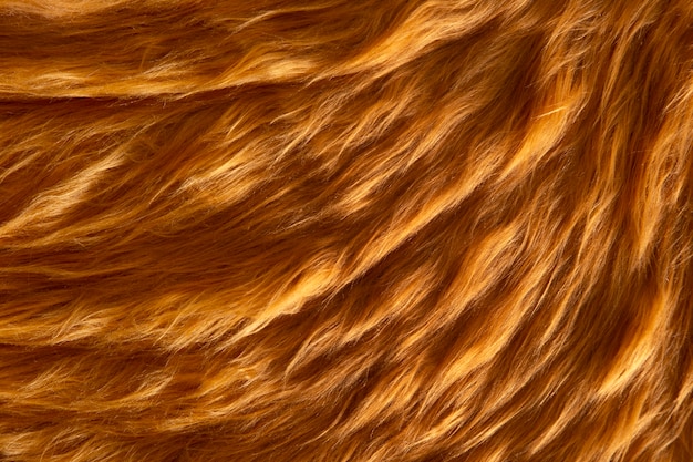 View of textured fur fabric