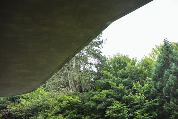 Free Photo view of a tree and building exterior