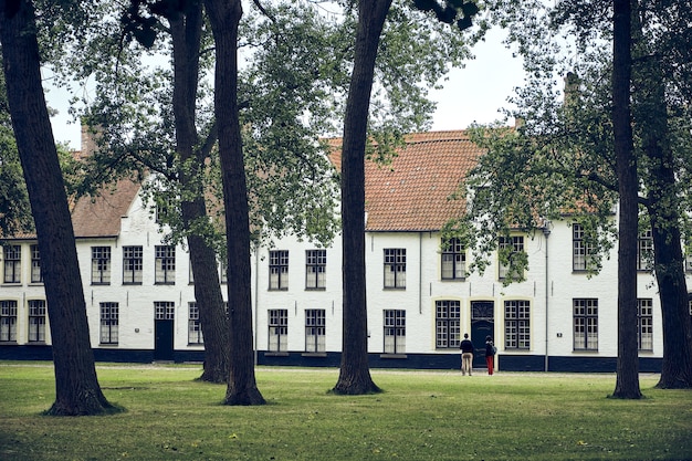 Free Photo view of trees in the garden of the princely beguinage ten wijngaarde