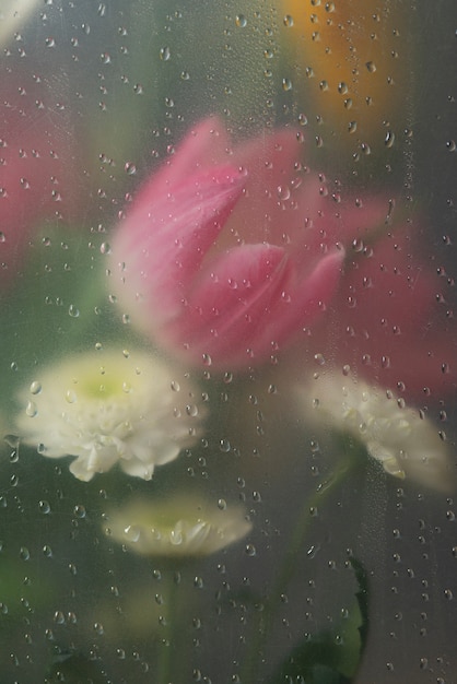 Free Photo view of tulip flowers behind condensed glass