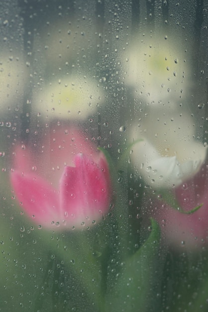 Free Photo view of tulip flowers behind condensed glass